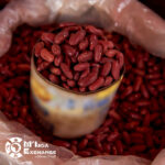 Red Kidney beans